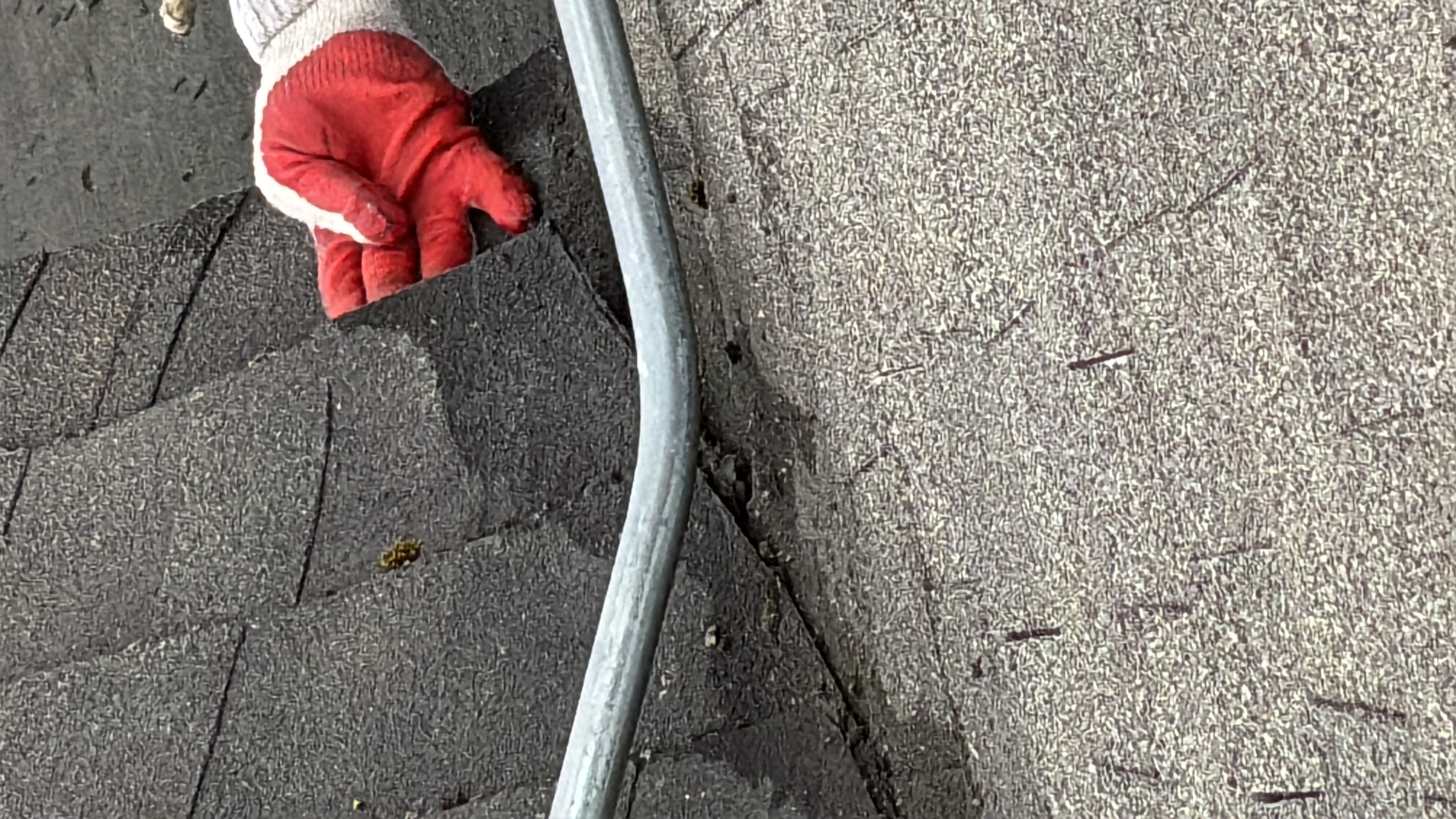Gloved hand showing shingle damage