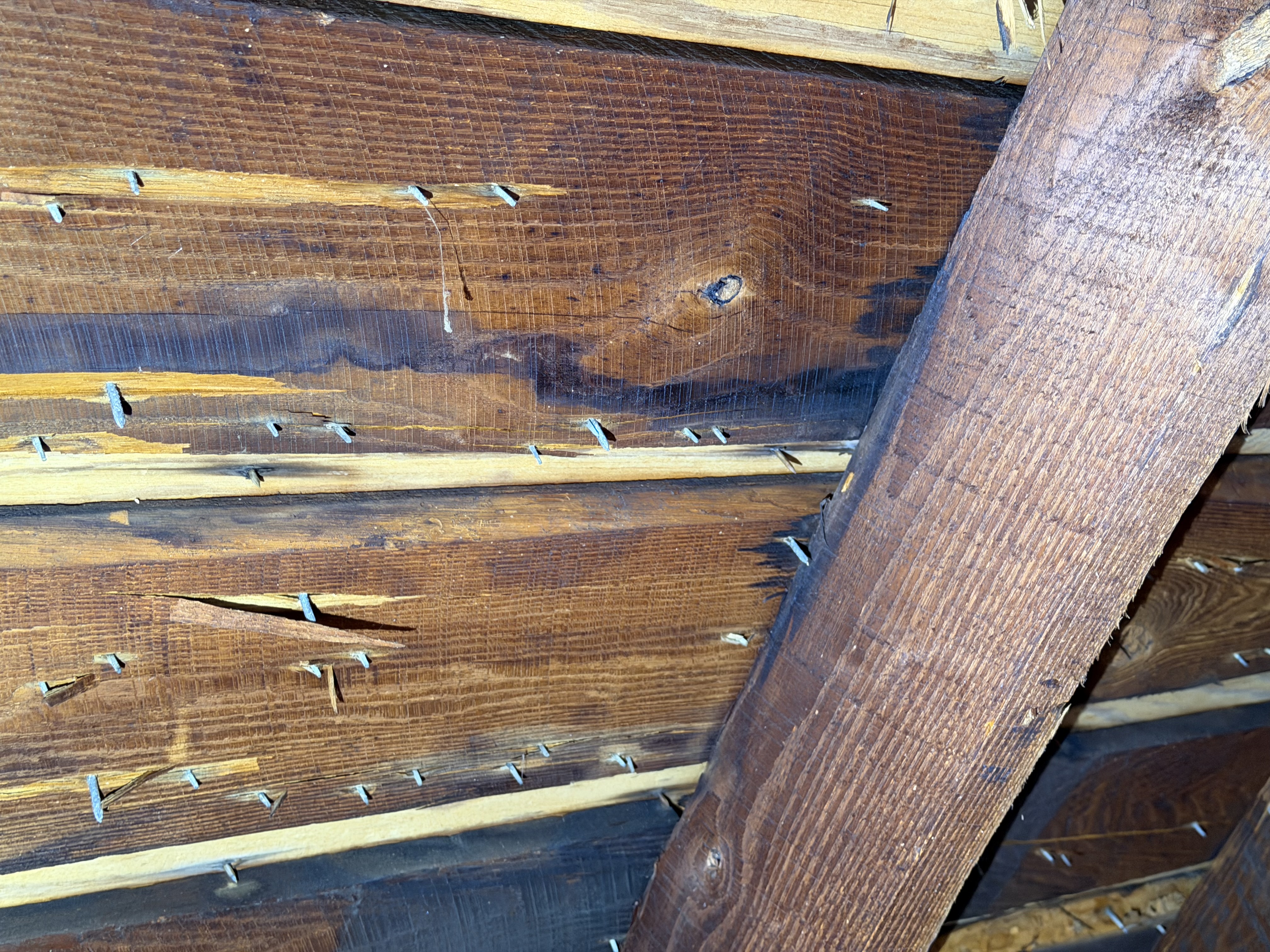 Attic decking with nail penetration and moisture